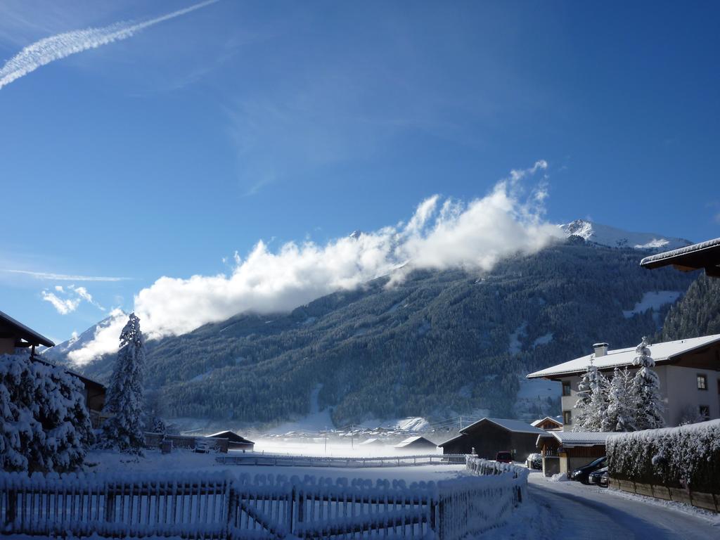 Haus Bellis Apartment Neustift im Stubaital Exterior foto